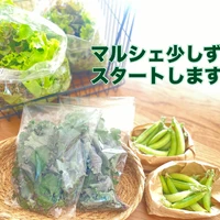 画像965