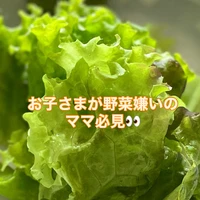 画像971