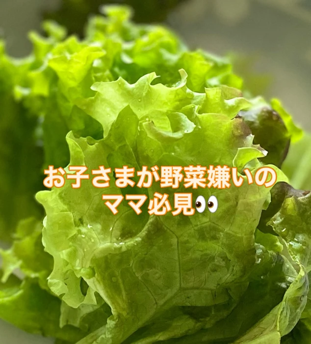 画像971