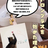 画像987